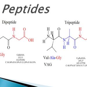 simple Peptide